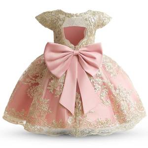 lot 20075 image: HNXDYY Baby Girl Tutu Dress Princess Lace Embroidery Wedding Party Gown #2006-C Pink Size(90) 1-2 Years