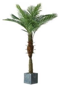 lot 17400 image: Nafresh Artificial Plant Long Decorative Palm (stock photo may not be exact)