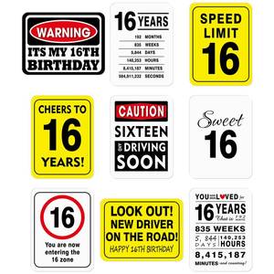 lot 10307 image: WERNNSAI 16th Birthday Party Decorations - 9PCS Happy 16 Years Old