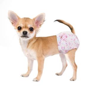 lot 12378 image: Dono Disposable Dog Diapers Female XX-Small