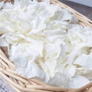 lot 12400 image: Gifugi Dried Hydrangea Flower Petals, 1500 Pieces
