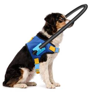 lot 19813 image: LetPetRun Blind Dog Halo Harness, Adjustable Anti-Collision Aid, XXS 5-10