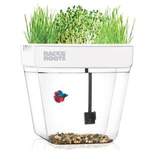 lot 19820 image: Back to the Roots Indoor Aquaponic Garden - 3 Gallon Self Watering, Mess-Free Planter and Self-Cleaning Fishtank for Herbs, Microgreens, Bamboo, Succulents, and Houseplants, support Fish (Used)