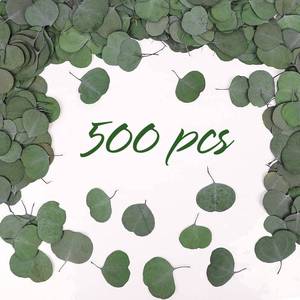 lot 2107 image: Dried Eucalyptus Leaves Green Eucalyptus Leaves Decorations 500Pcs