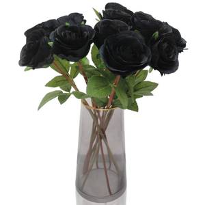 lot 2159 image: Hananona Black Artificial Roses for Flower Arrangement, 12 Pcs Silk Black Roses Bouquet for Halloween Home Decoration, Faux Black Roses for Halloween and Gothic Decoration