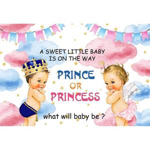 lot 8209 image: DASHAN 7x5ft Baby Shower Photo Backdrop