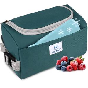 lot 10447 image: Genteen Small Cooler Bag with Ice Pack,Insulated Lunch & Snack Tote