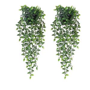 lot 13726 image: Season 2 Season Artificial Hanging Plants 2-Pack