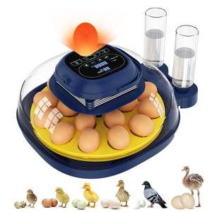 lot 17612 image: Boxtren 18-33 Egg Incubator with Automatic Turning