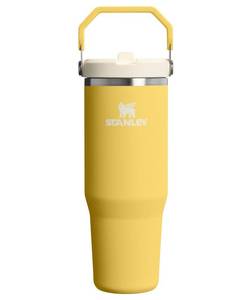 lot 17656 image: Stanley IceFlow 2.0 Flip Straw Tumbler, 30 oz