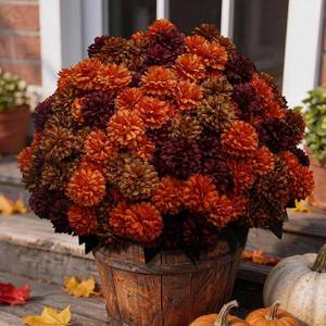 lot 19880 image: HIFORESTAR 12 Bundles Artificial Fall Mums Outdoor Flowers, UV Resistant Faux Autumn Daisy Plants, Fake Orange Chrysanthemum Bush for Front Porch, Window Box, Patio Planter, Home & Garden (Mix Color)