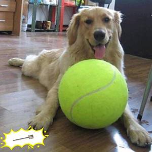 lot 10488 image: Banfeng Dog Tennis Ball, 9.5 Giant Sport Gift Toy Herding Ball for Dogs