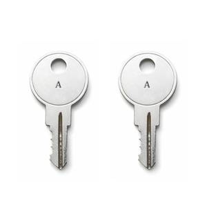 lot 12132 image: Rolvyns 2 Pack Replacement Safe Keys for Sentry 110011501170