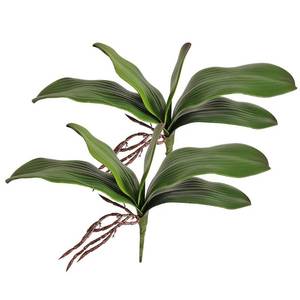 lot 20131 image: Htmeing 38 Inch Artificial Phalaenopsis Flowers Branches Real Touch (Not Silk) Orchids Flowers for Home Office Wedding Decoration,Pack of 2 (2pcs Leaves)