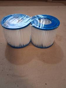 lot 128 image: Filter Cartridge for Bestway Type DVII Pool 2 Pack