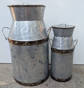 lot 1002 image: Brushed Metal Lidded Canisters with Handles - 2 ct- new