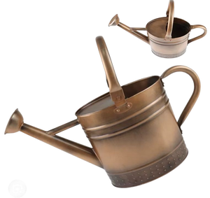 lot 1005 image: Metal Watering Can