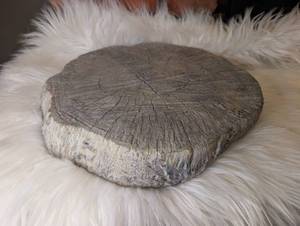 lot 4013 image: Cement Realistic Wood Slice Decorative Accent Piece- new