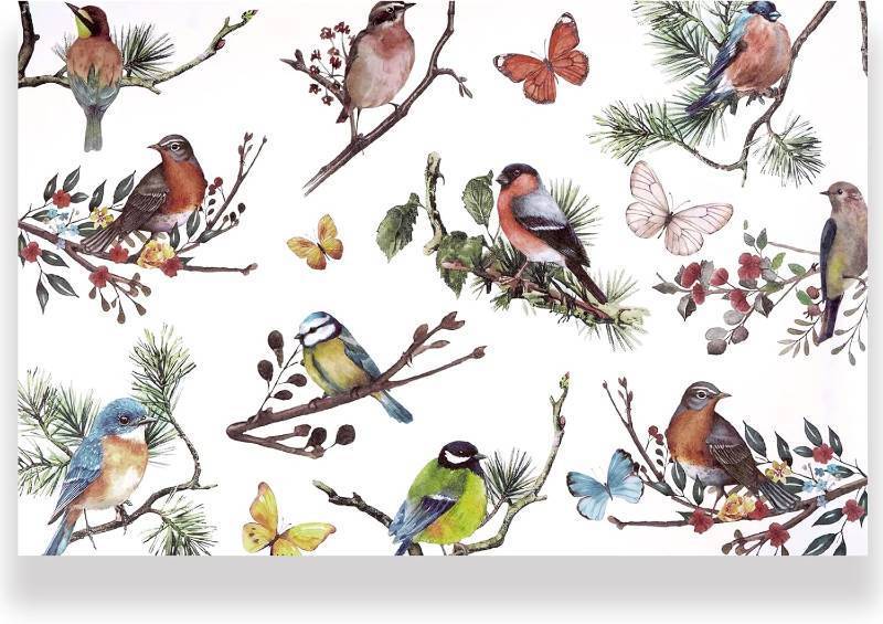 lot 48521 image: 50 Pcs Bird Paper Placemats 11 x 17 Vintage Bird Disposable Place Mat