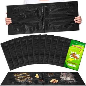 lot 34874 image: Mouse Trap Glue Board - 12 Pack
