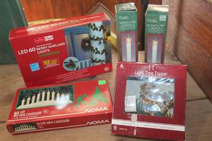 lot 4280 image: NIB Berry Garland Light and More