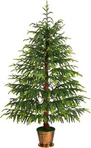 lot 3782 image: $60 4.2 FT Real Touch Norfolk Pine Christmas Tree - Outdoor Decor