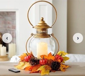 lot 3849 image: Home Reflections IndoorOutdoor 13 Hanging Lantern, Champagne, SEE Note.