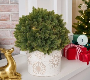 lot 3865 image: Bethlehem Lights 15 Sphere with 3-in-1 Micro LEDs