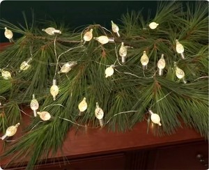 lot 3881 image: Bethlehem Lights Iridescent Fairy Light Strand w LEDs