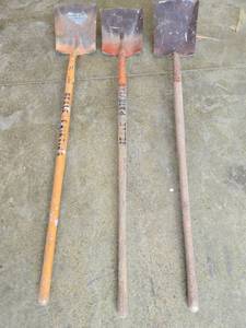 lot 19576 image: (3) Square Point Shovels w Handles