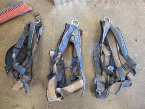 lot 15899 image: (3) Petzl Xoef Harnesses