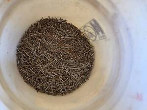 lot 15911 image: Assorted Nails