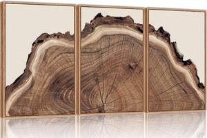 lot 121611 image: SIKERIC Framed Nature Tree Ring Wall Art, (16X24 inch) Modern Wood Stump Canvas Wall Art Set Of 3,Large Wood Tree Spiral Art Prints, Abstract Wall Painting for Living Room, Bedroom, Office