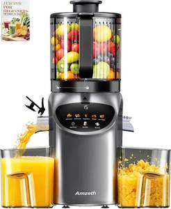 lot 431528 image: Juicer Machines with 6.5 Large Chute,3-in-1 Cold Press Juicer for Whole Vegetables Fruits 450W, Masticating juicer Easy to Clean Juice Extractor Machine for Making Nut Mike, (Premier Space Gray)