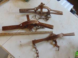lot 3720 image: Large Leg Hold Traps