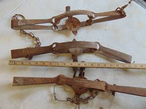 lot 3721 image: Large Leg Hold Traps