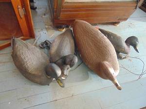 lot 3769 image: Selection of Decoys