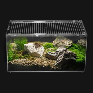 lot 2032 image: Clioran Reptile PC Tank,Escape Proof Magnetic Lid Tarantula Enclosure Small - Retail $17