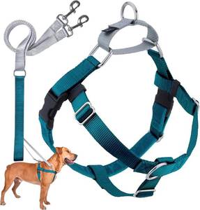 lot 40283 image: 2 Hounds Design Freedom No Pull Dog Harness and Leash, 1 LG, Teal