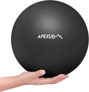 lot 40352 image: APEXUP 9-Inch Pilates Ball for Yoga, Fitness, Balance, Core Workout, PT