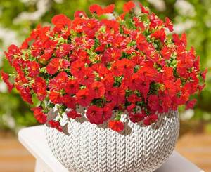 lot 6818 image: Artificial Flowers for Decoration - No Fade, Red