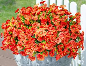 lot 6819 image: Artificial Flowers for Decoration, No-Fade Plants, Orange