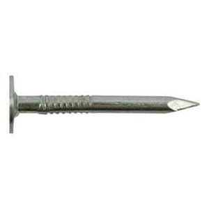lot 6191 image: Grip-Rite 1-14 in. Electro Galvanized Roofing Nails 5lb. - Retail $100