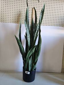 lot 1107 image: Faux Snake Plant in Black Pot Approx 38 in Tall
