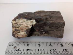 lot 2085 image: Petrified Wood Specimen Approximately 5 x 3 x 2