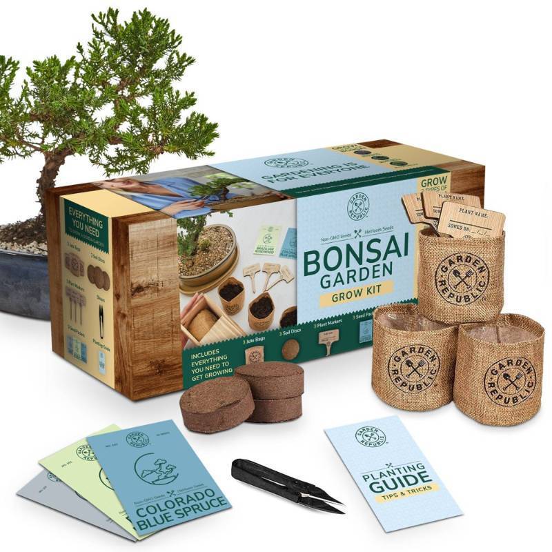 lot 1059 image: Garden Republic Bonsai Garden Grow Kit - Retail $25