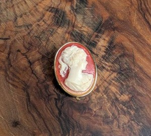 lot 3304 image: Red and White Cameo Brooch Oval Portrait Pin