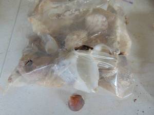 lot 3830 image: Shells