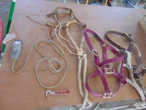 lot 3886 image: Equine Equipment - Halters - Lead Ropes