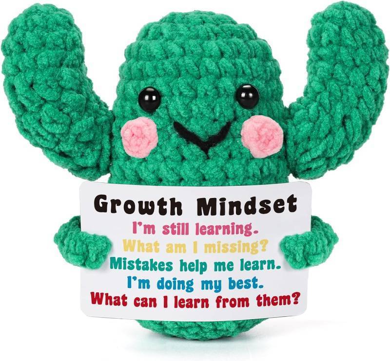 lot 2421 image: Lodeskee Inspirational Positivity Gifts Crochet for Friends, Emotion Uplifting Support Mindset Gifts Handmade Knitted Cactus Mini Funny Stuff for Friend Sister Daughter Coworker Xmas Birthday